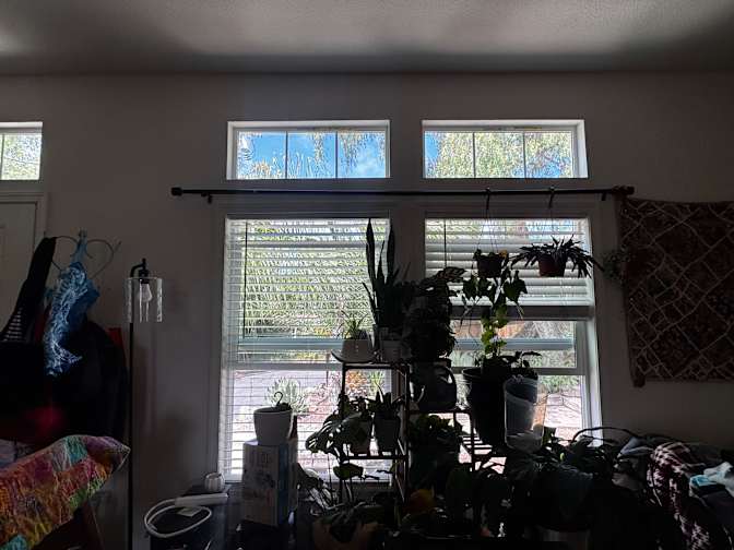 Mackenzie's room
