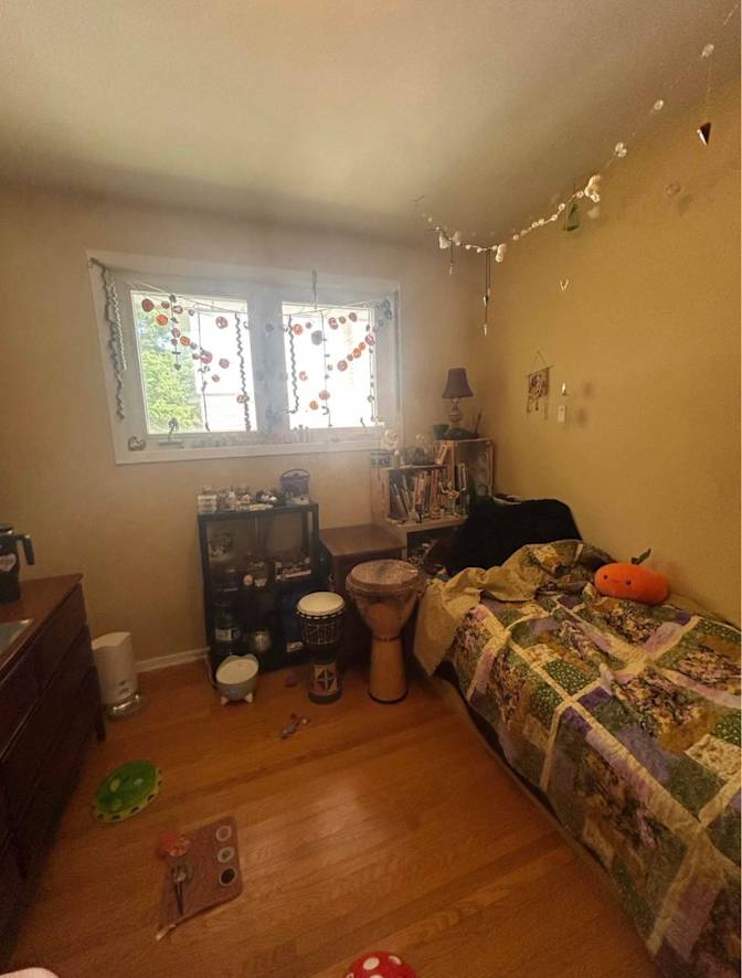 Dani's room