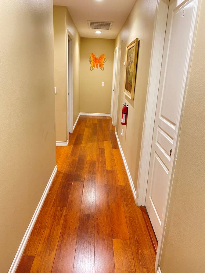 maggie's room