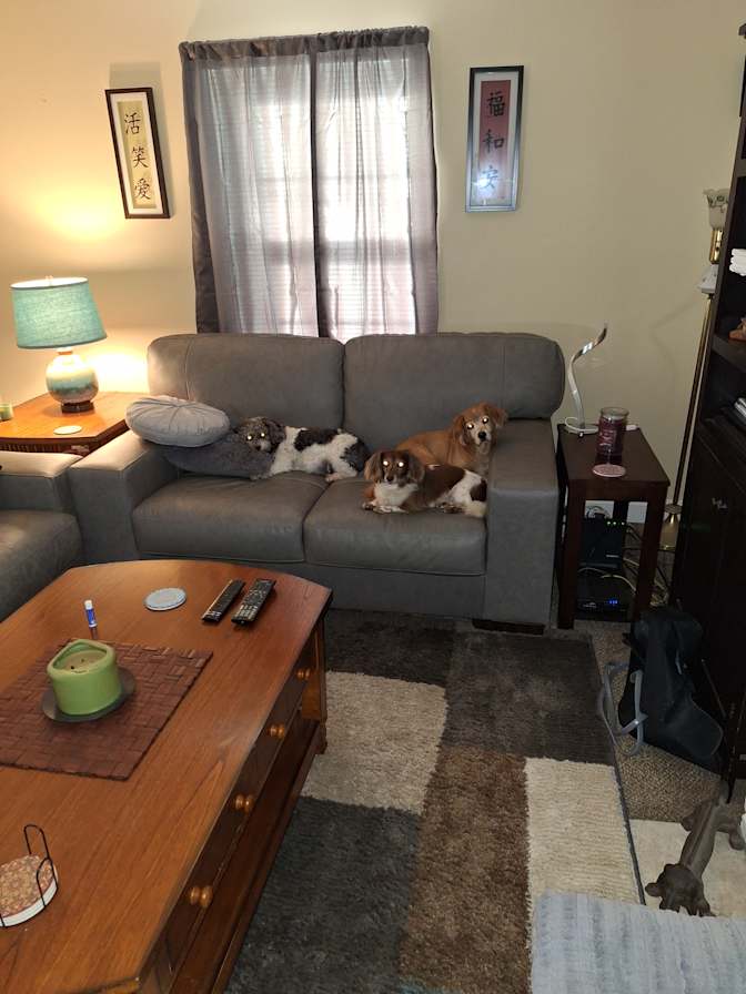 Greg friend's room