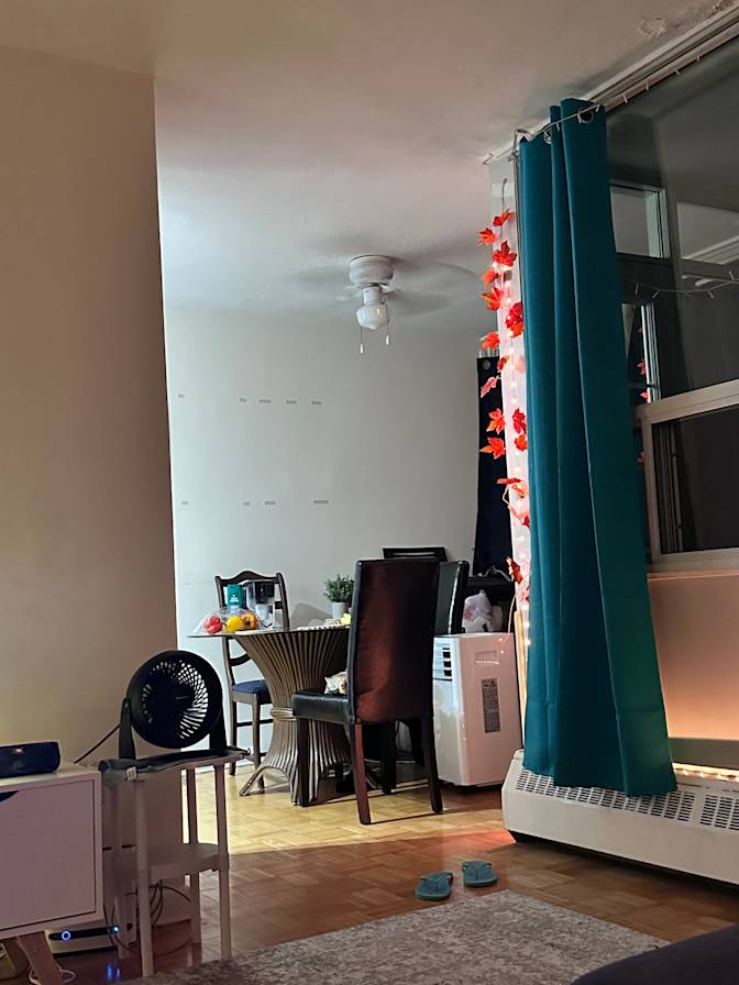 Mishmi's room