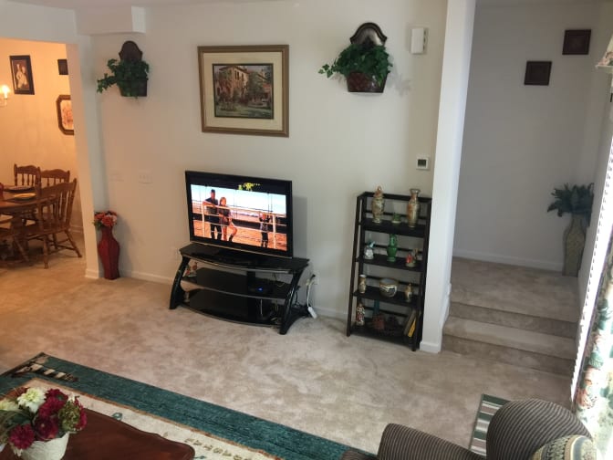 ADAM's room