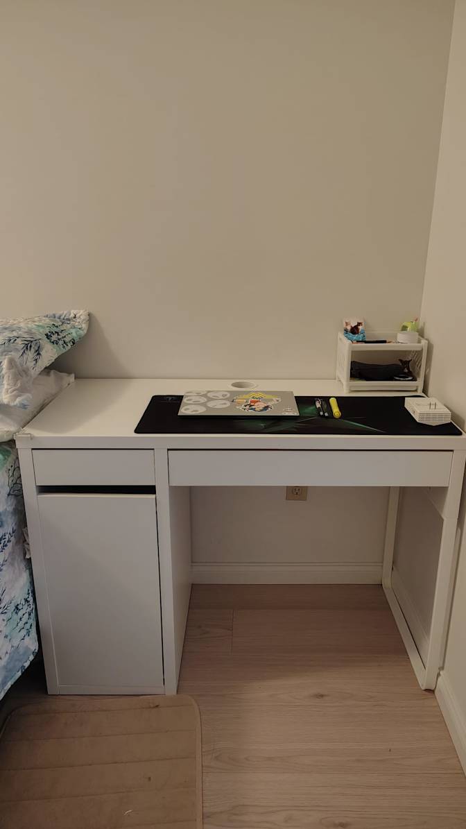Mikko and Bowie's room