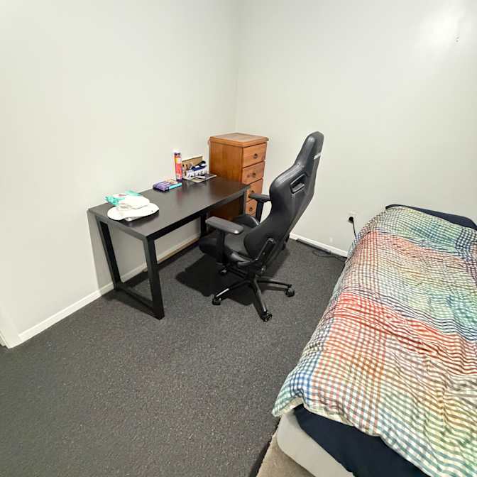 Tiger's room