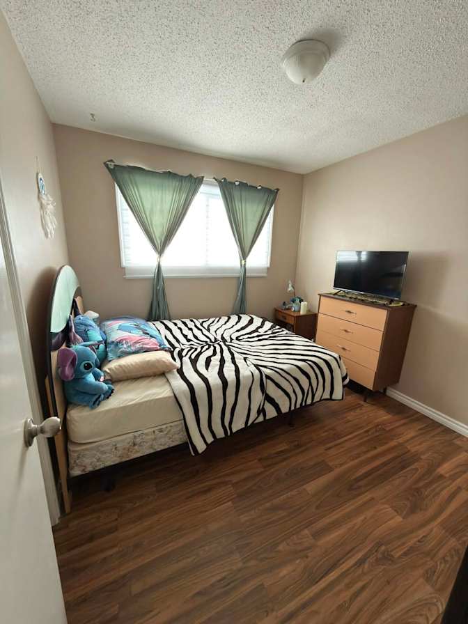 yanyan's room