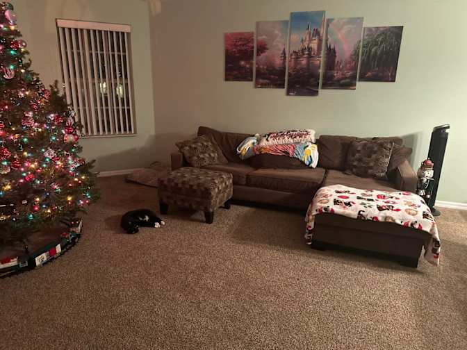 Jaime's room