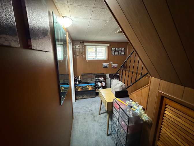 Mina's room