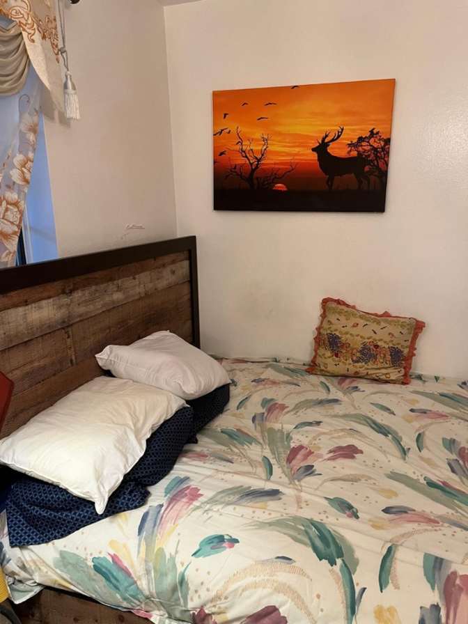 Ali H's room