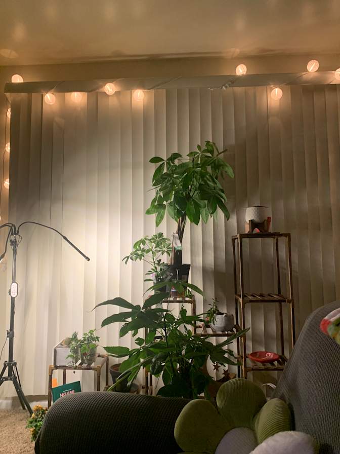 Monica Hughes's room