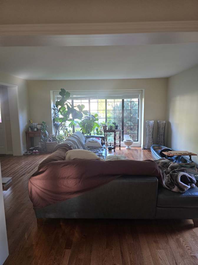 Daniel's room