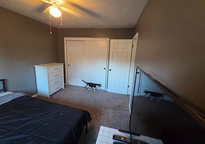Matthew's room