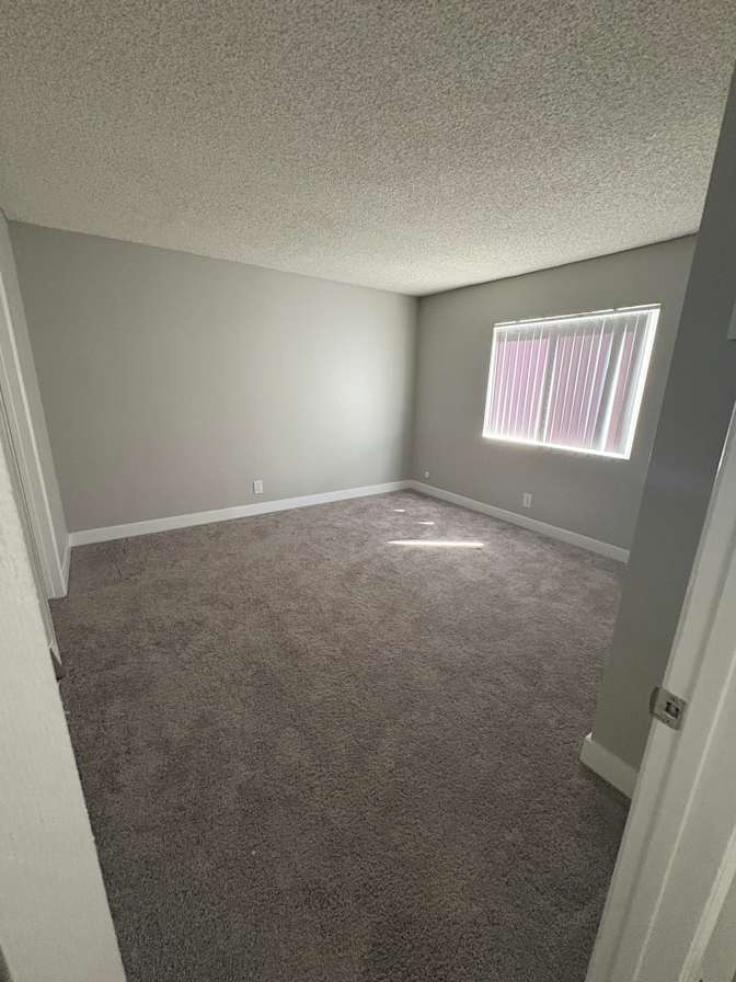 veronica's room