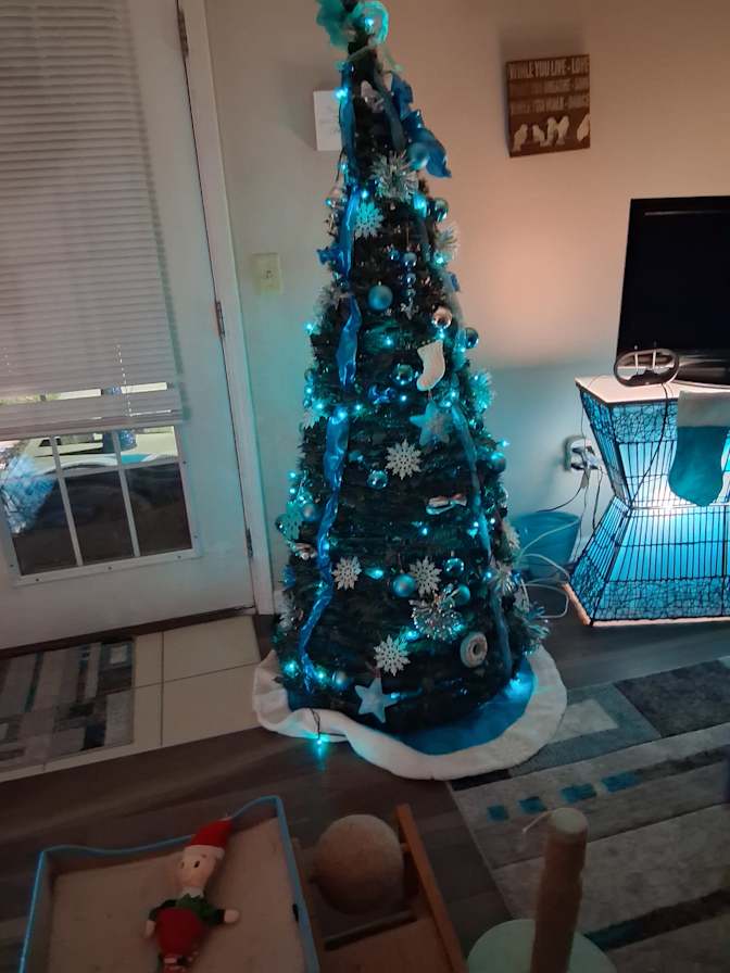 Vicki's room