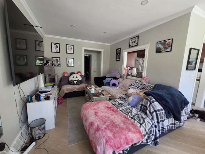 Rachel Dinar's room