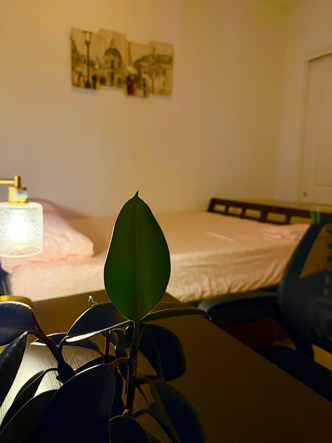 Siva's room