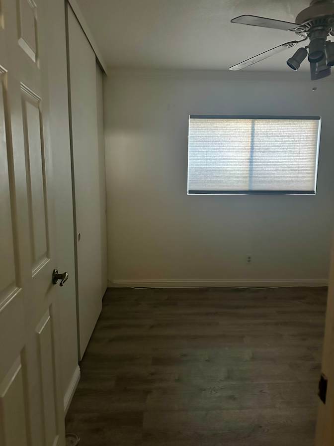 Janelle's room