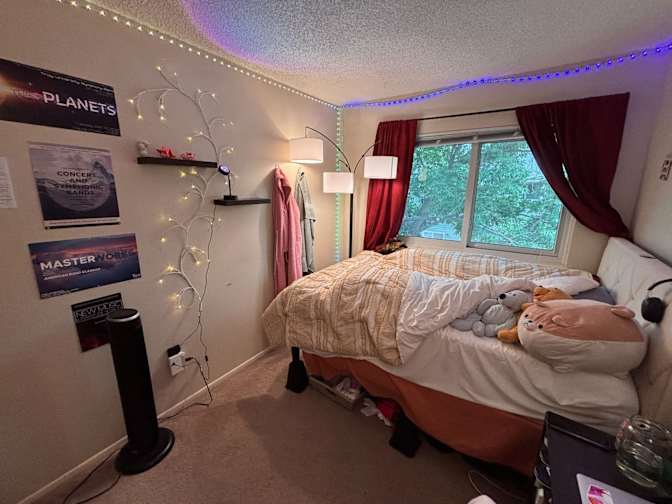 Noah's room