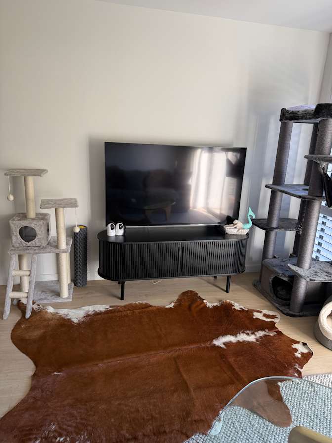 Chelsea Hirschmann's room