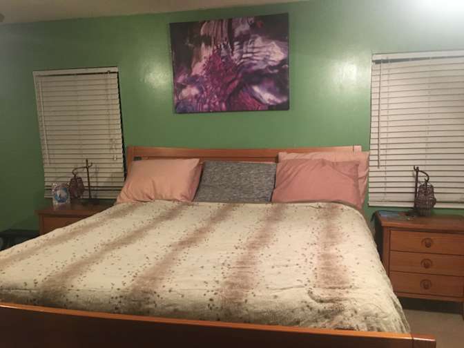Annmarie Ferrer's room