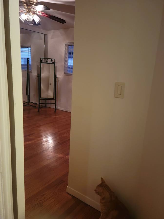 Roberta's room