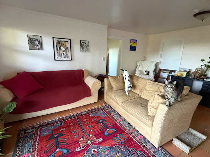 Cyrille's room