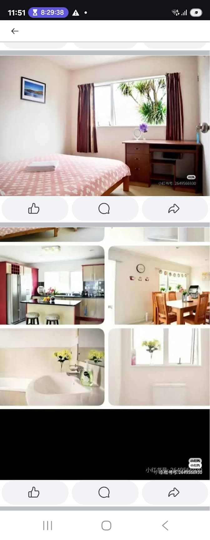 Lily bo's room