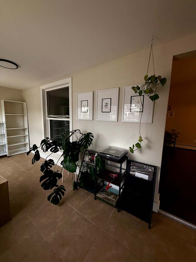 Rachel Strong's room