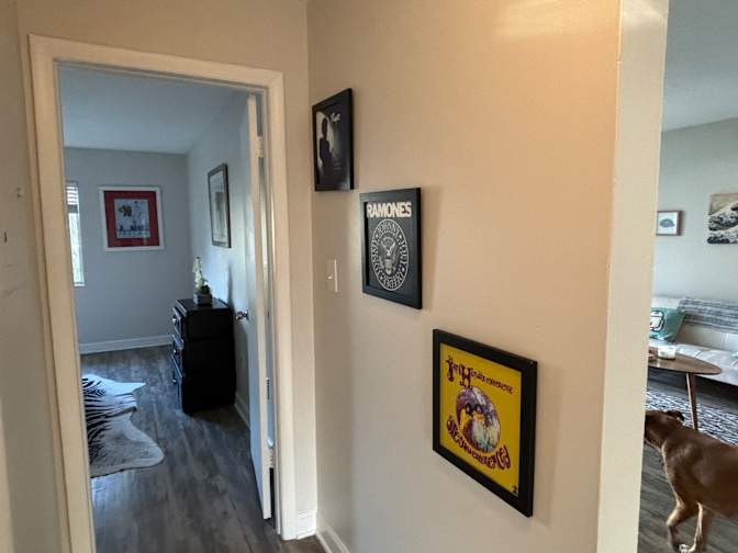 Danni's room