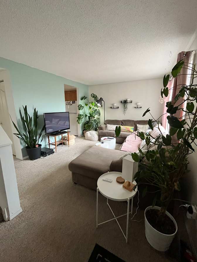 Luisa Williams's room