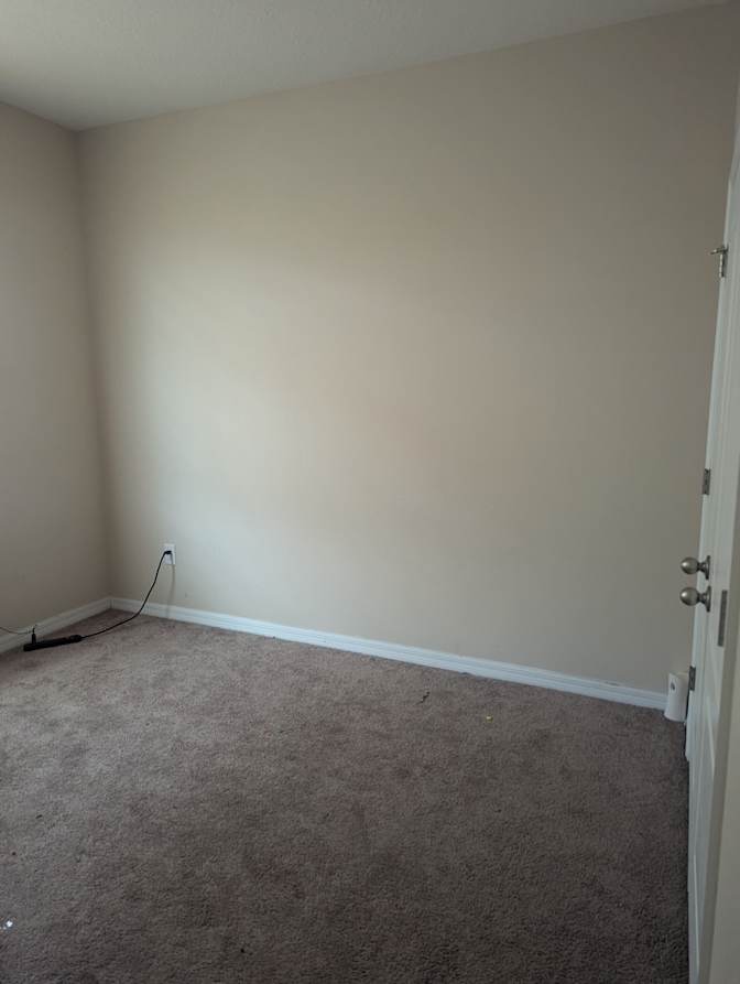 Steeve's room