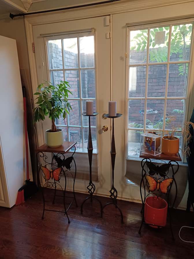 Judi's room