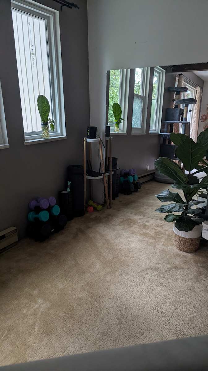 Ksenya's room