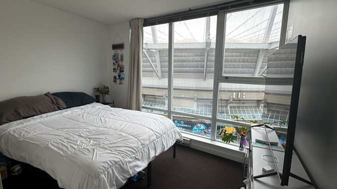 Cat's room