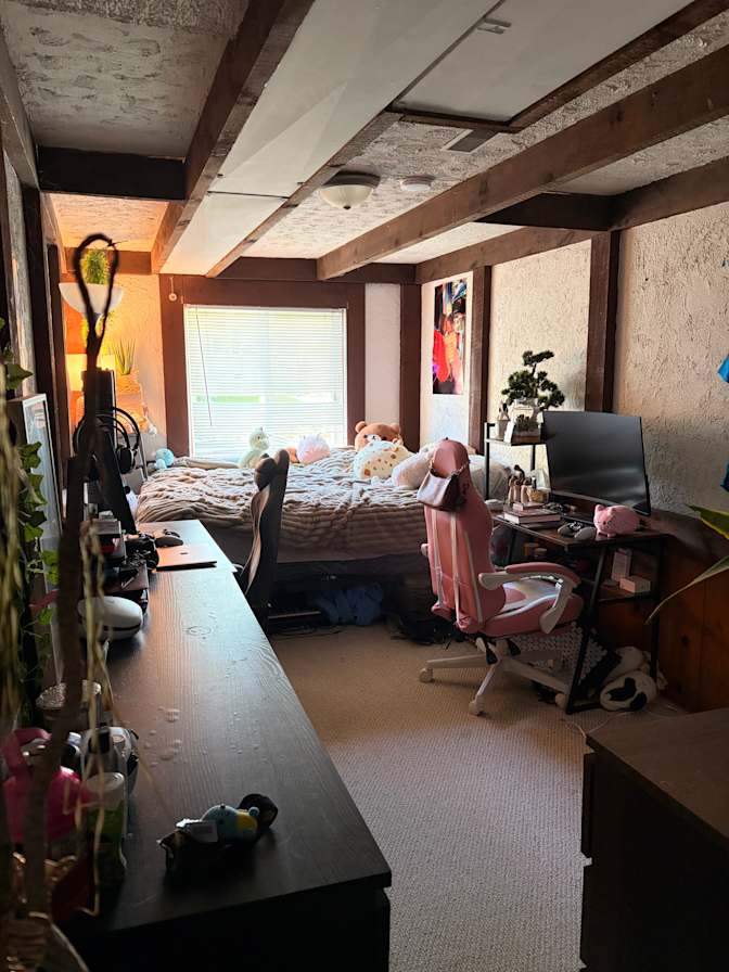 Teagan's room