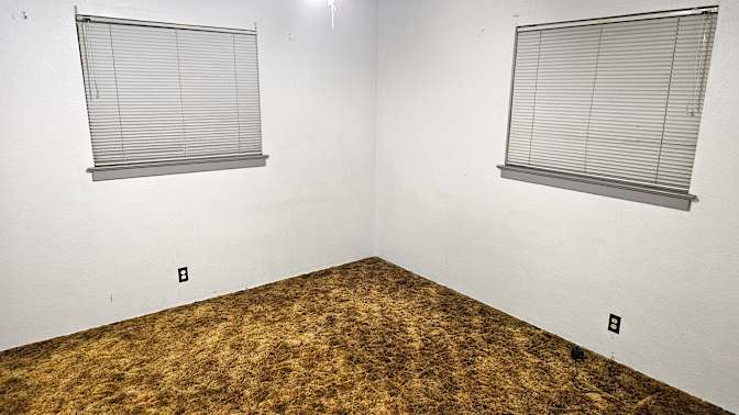 Albert's room