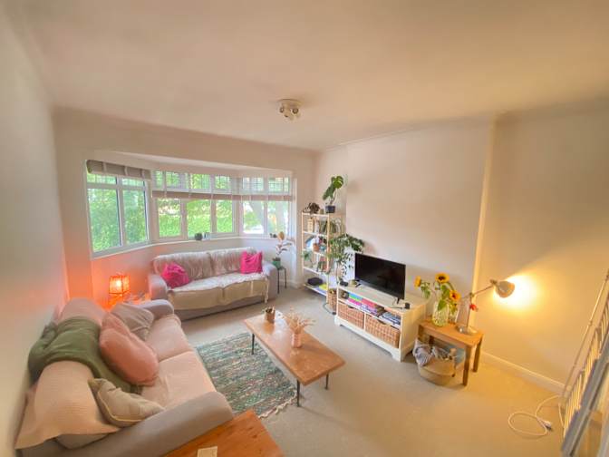 poppy fitzpatrick's room