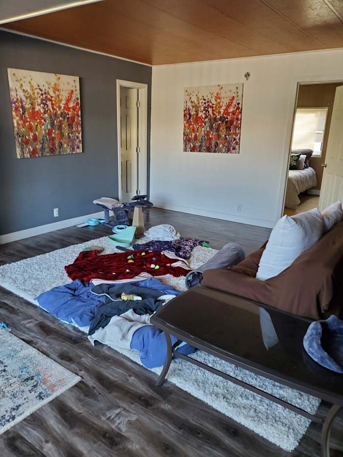 Tasha's room