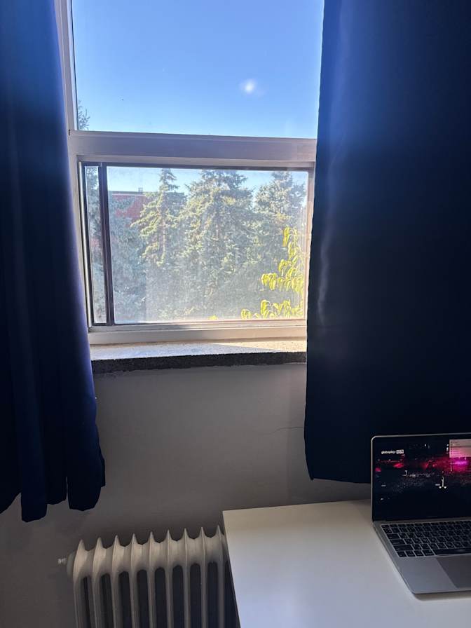 Tatiana's room