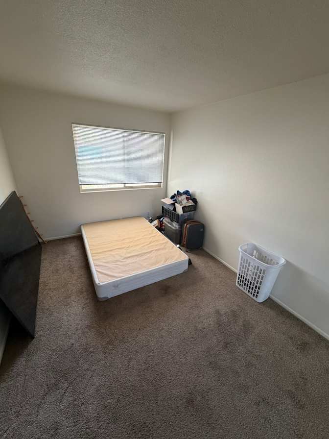 Vanessa's room