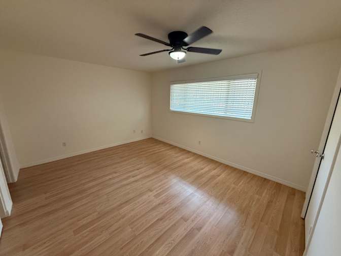 Luis's room