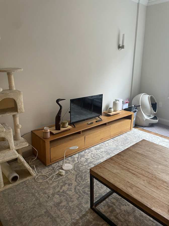 Aerin's room