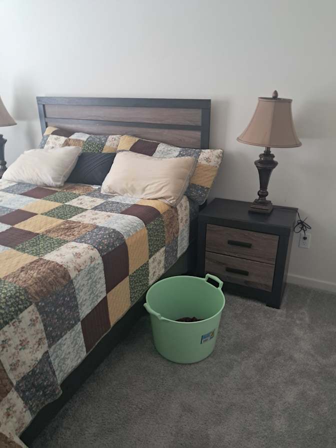 Bernard  Reed's room