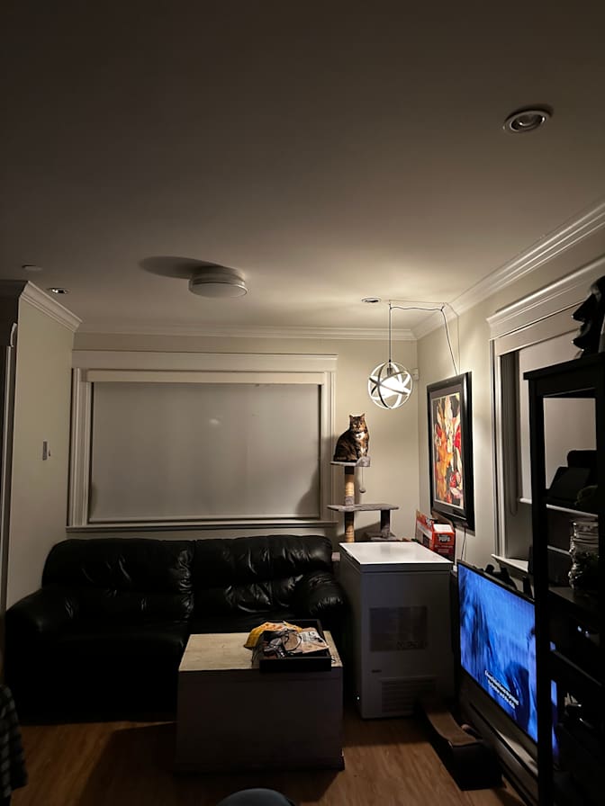 Constandina's room