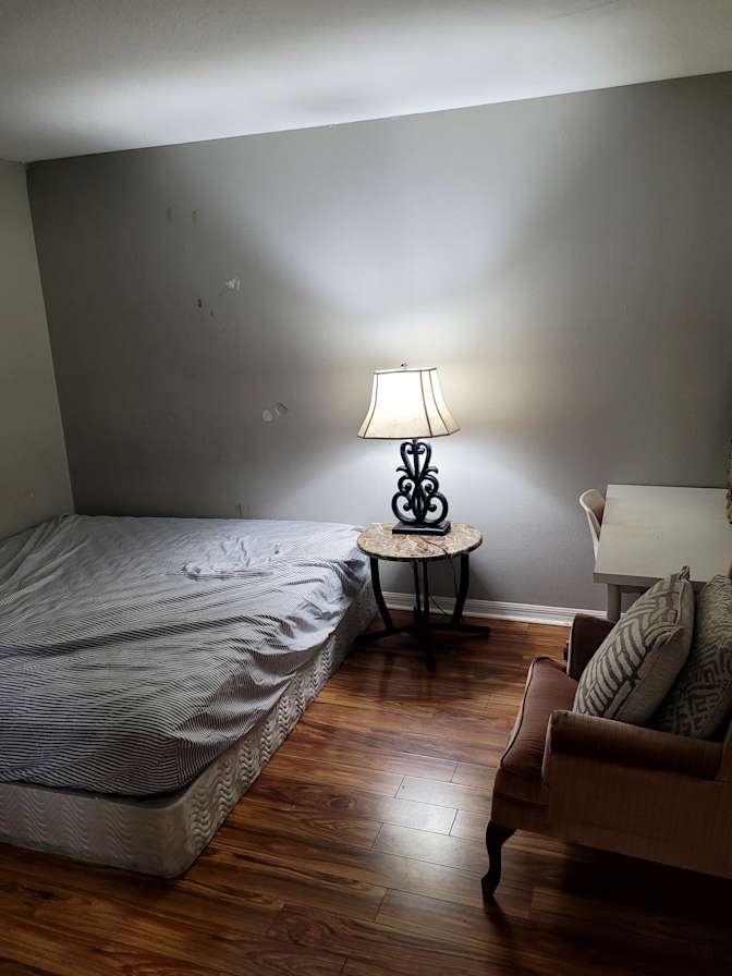 hamzawy's room