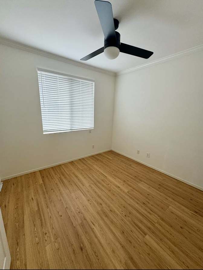Jordan's room