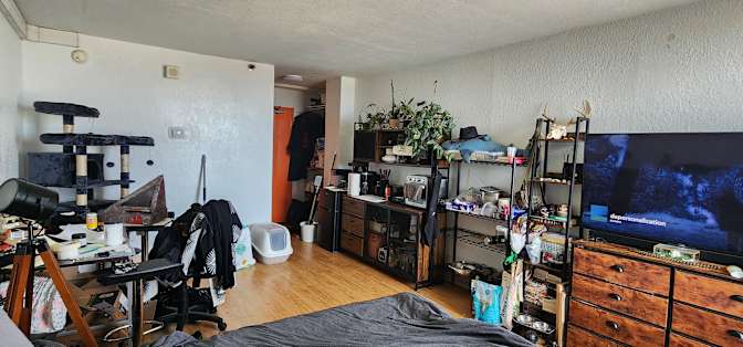 Fox's room