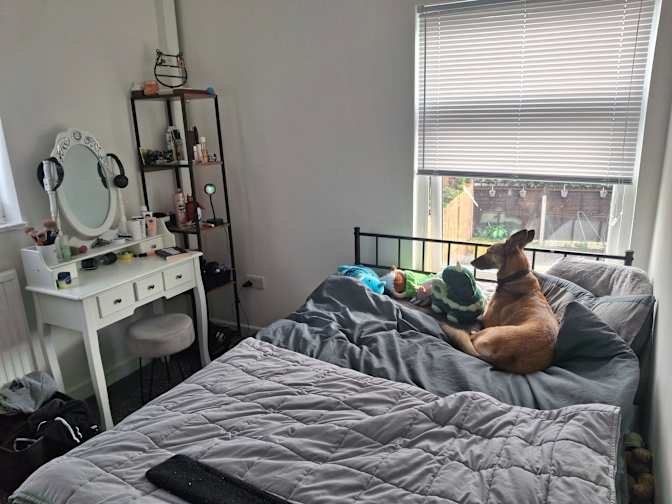 Shannon's room