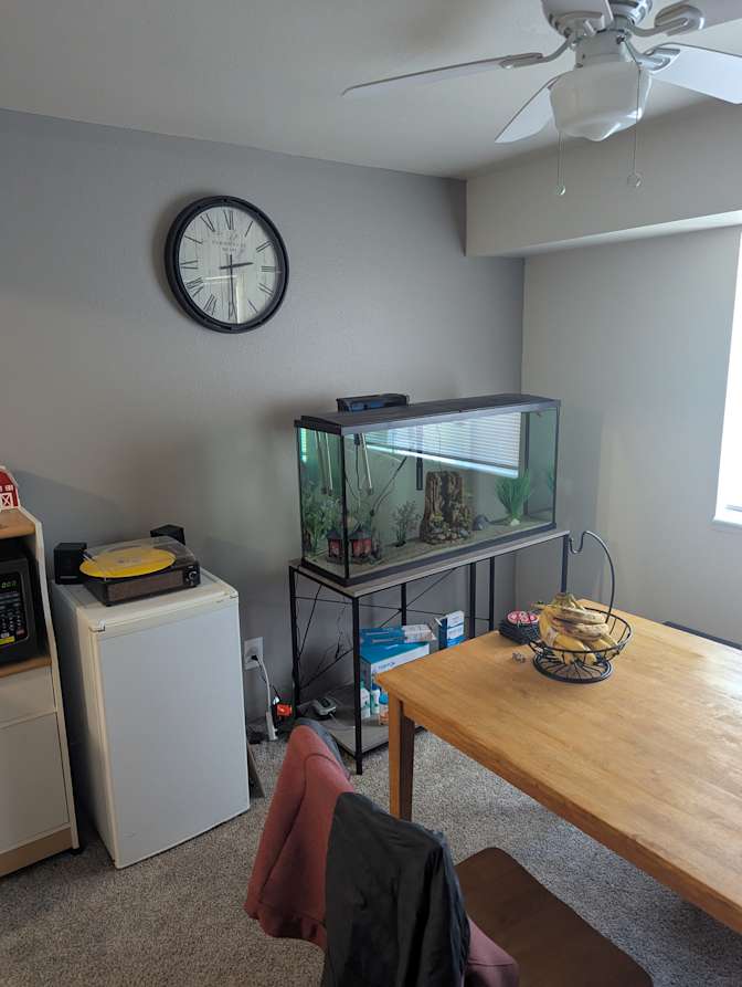 Kameron's room