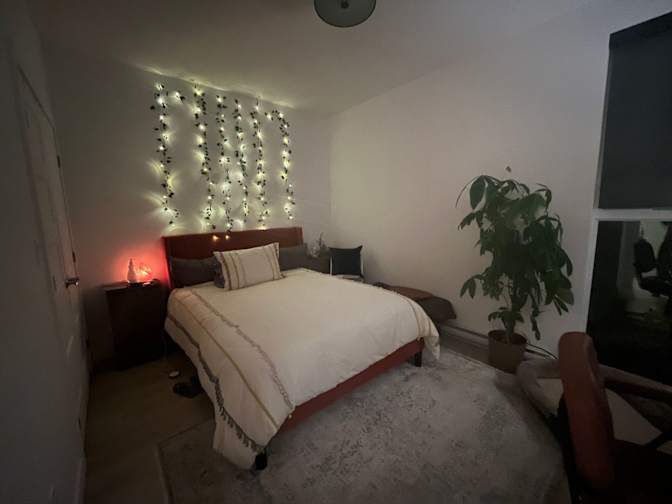 Pauley's room