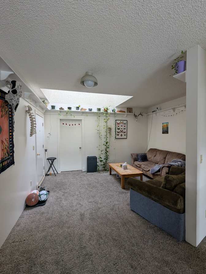 Abbey's room